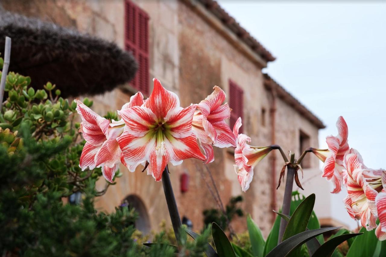 Finca Hotel Ses Cases Noves Sant Llorenc Des Cardassar Exterior photo
