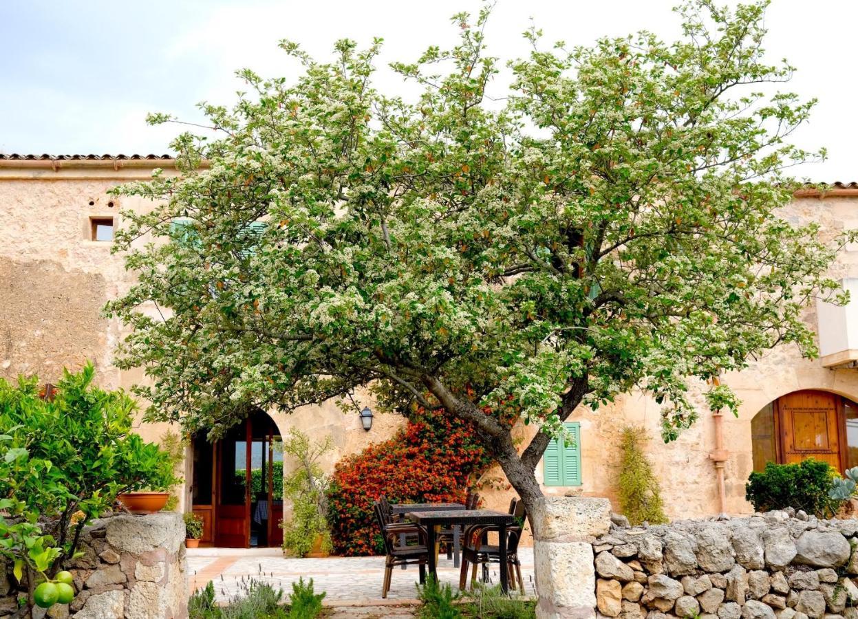 Finca Hotel Ses Cases Noves Sant Llorenc Des Cardassar Exterior photo
