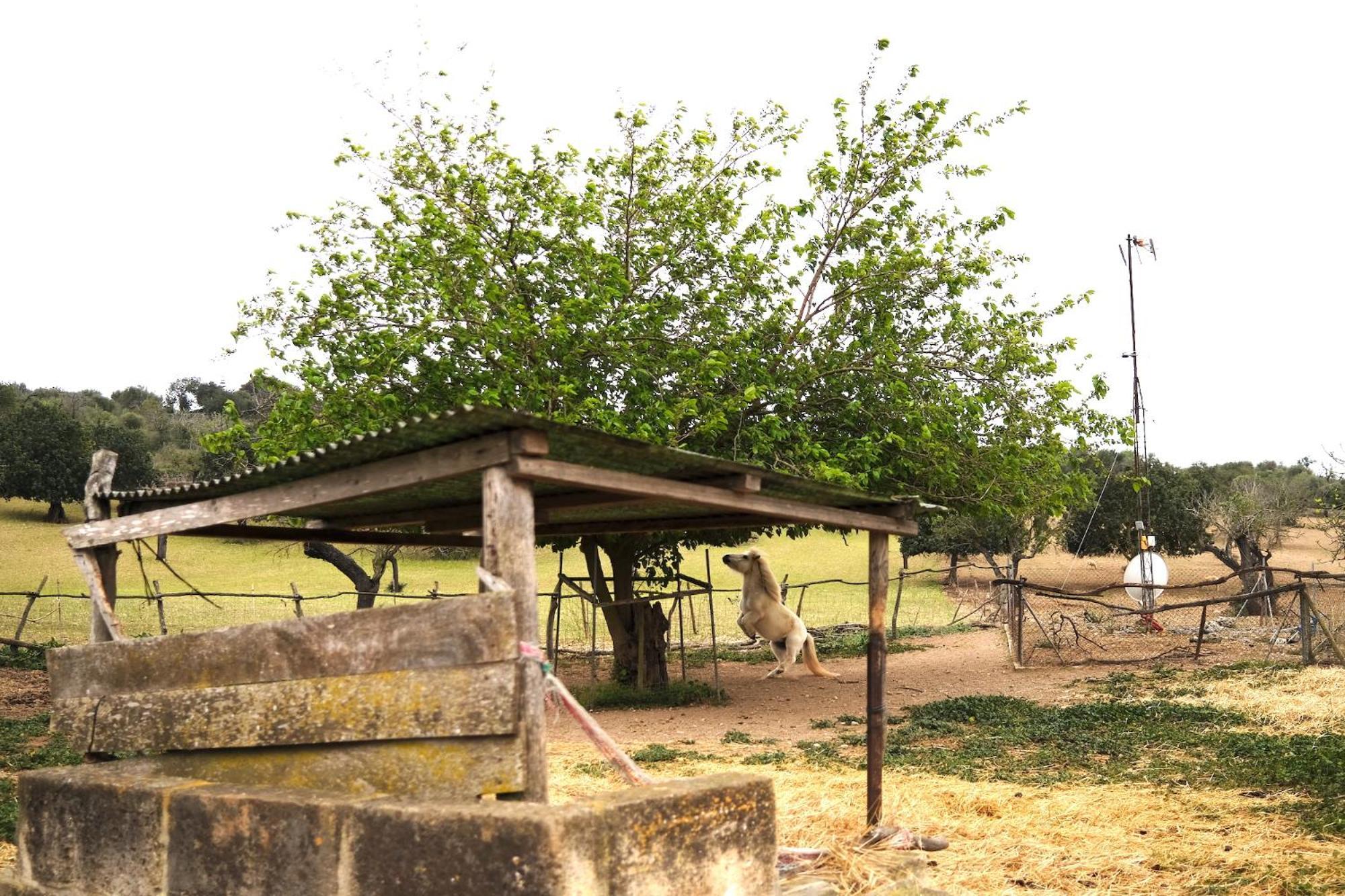 Finca Hotel Ses Cases Noves Sant Llorenc Des Cardassar Exterior photo