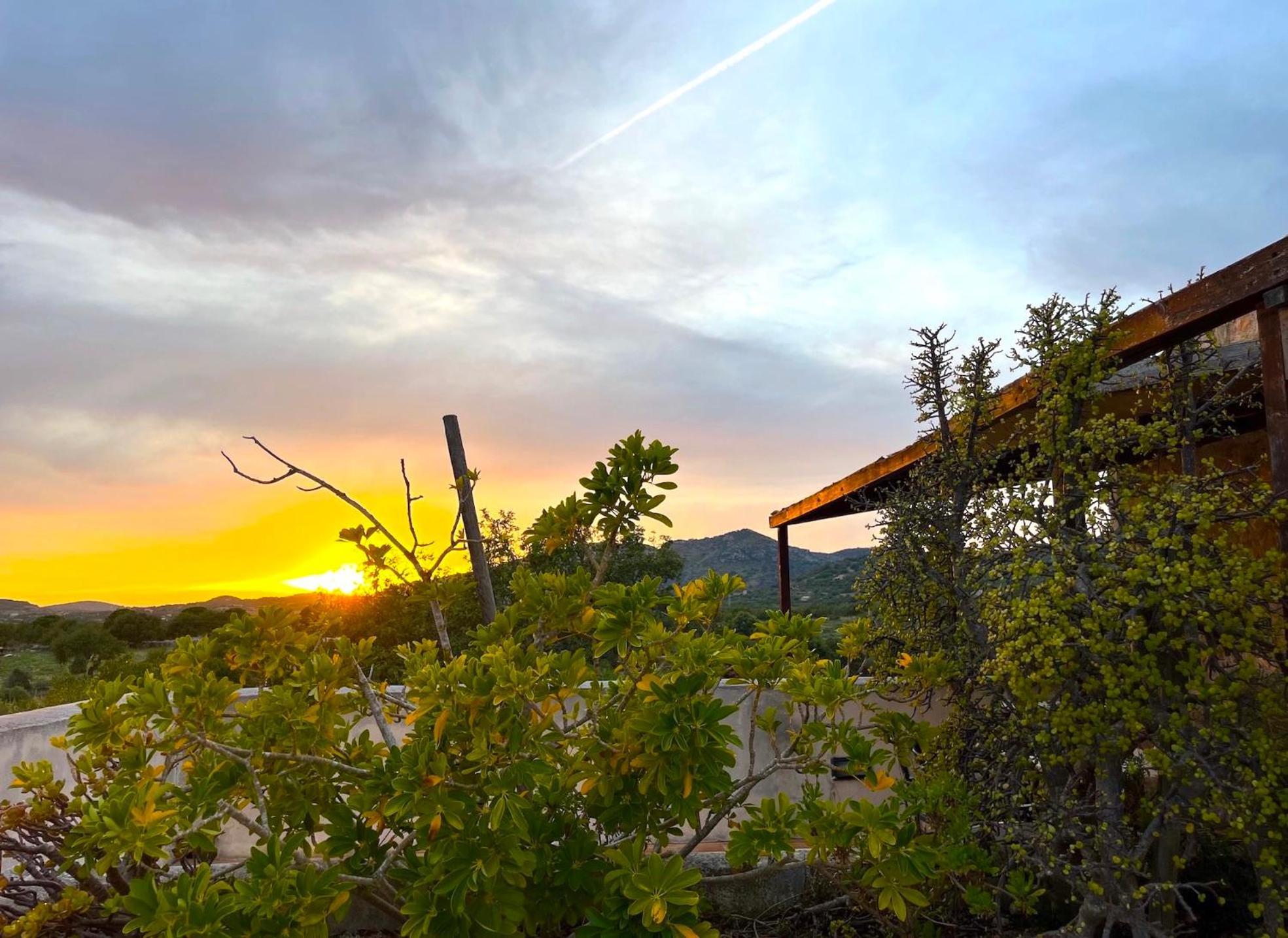 Finca Hotel Ses Cases Noves Sant Llorenc Des Cardassar Exterior photo
