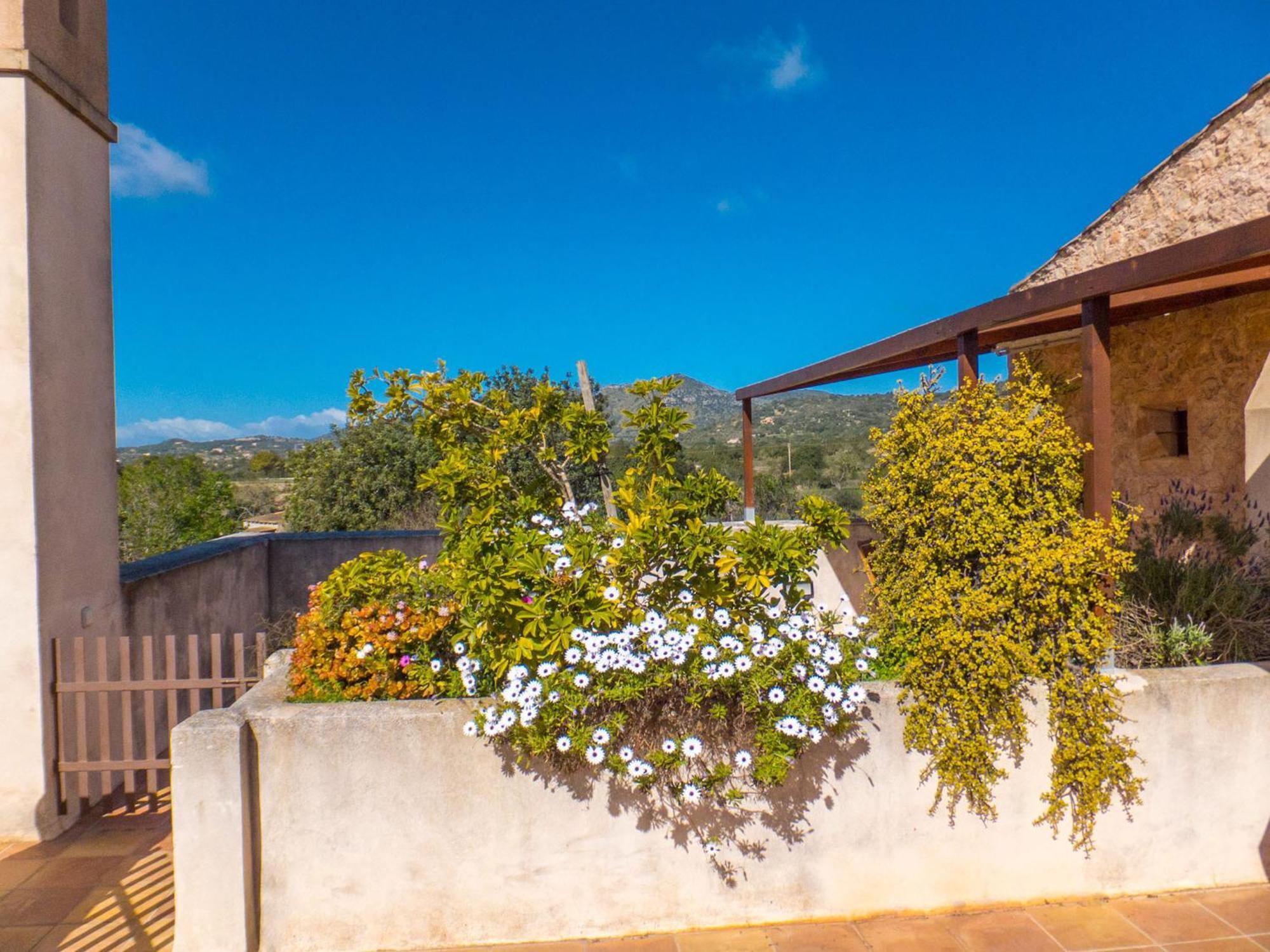 Finca Hotel Ses Cases Noves Sant Llorenc Des Cardassar Room photo